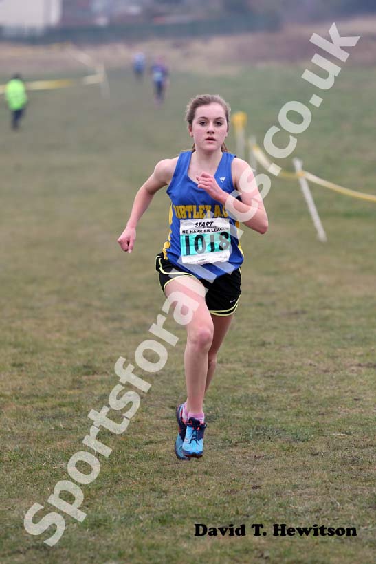 No 1018, Under-15s girls, North East Harrier League, Wrekerton, Gateshead.
